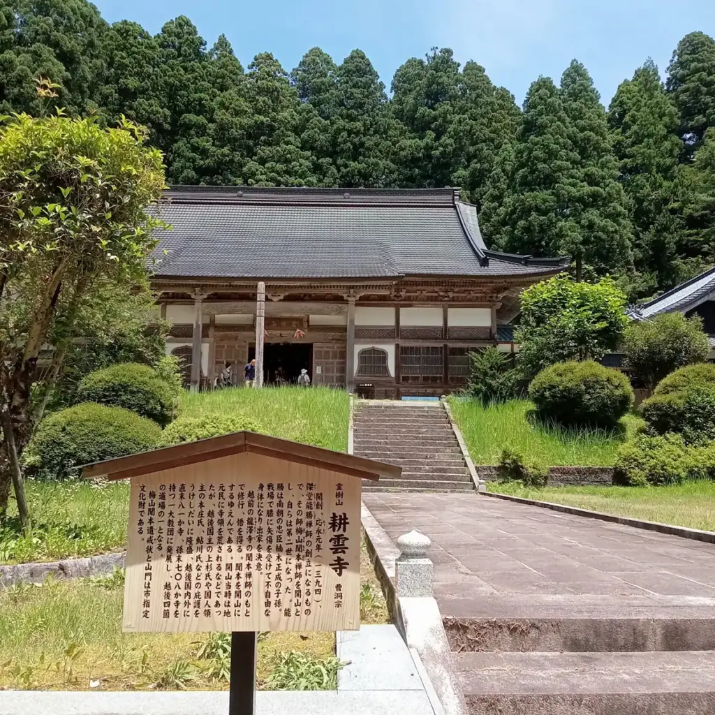 新潟県村上市の霊樹山耕雲寺の外観。杉林の合間に伽藍が見える。