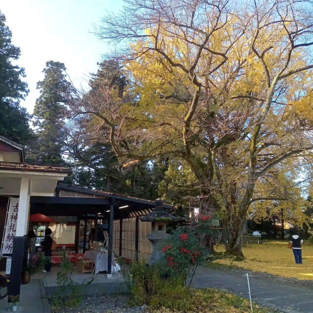 藤基神社の社務所とイチョウの御神木です。