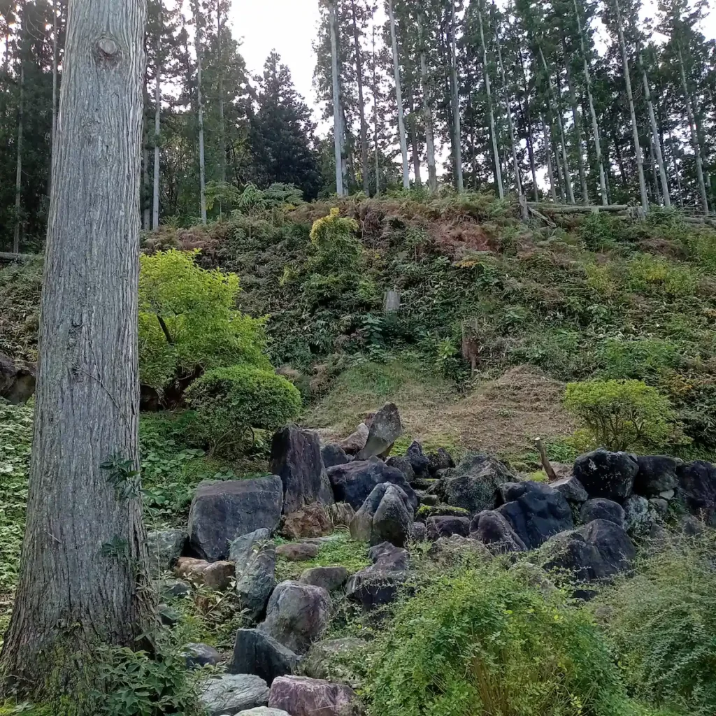 普済寺の参道右の斜面