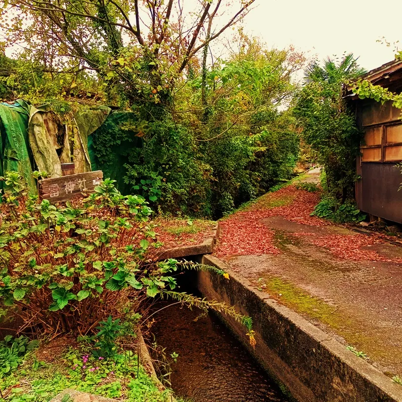 スタート地点。「雷神社→」の案内板。