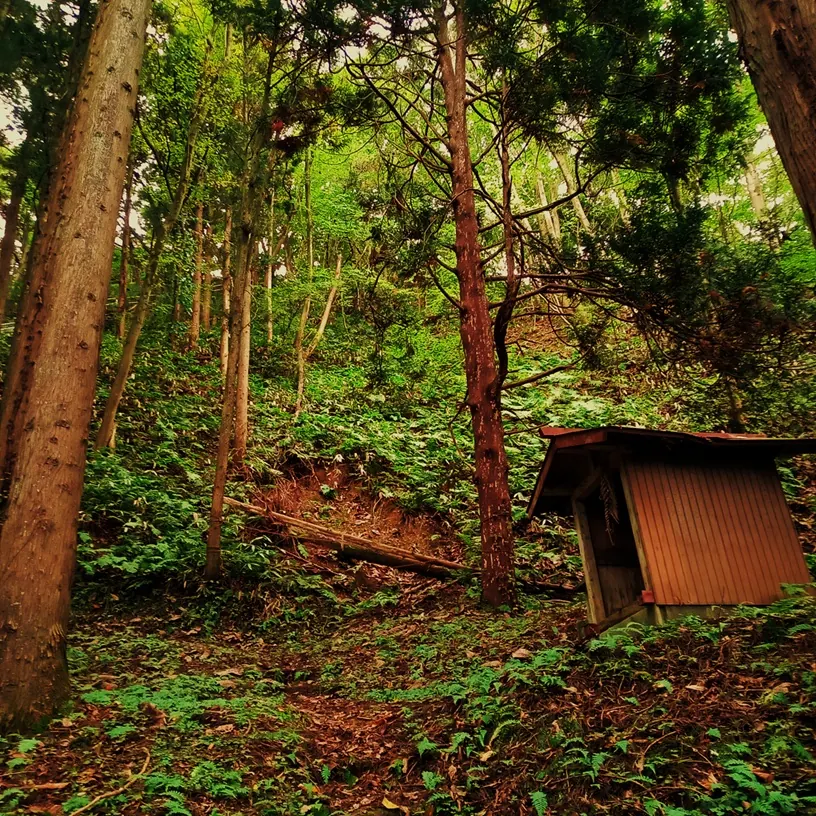 上りながら左に曲がる参道。右手に祠があります。