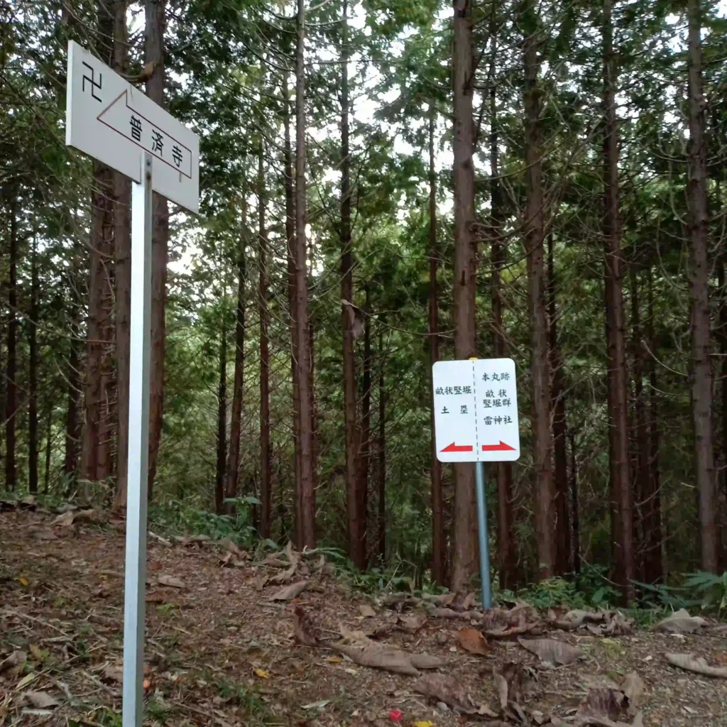 寺山を上まで登ったところ。