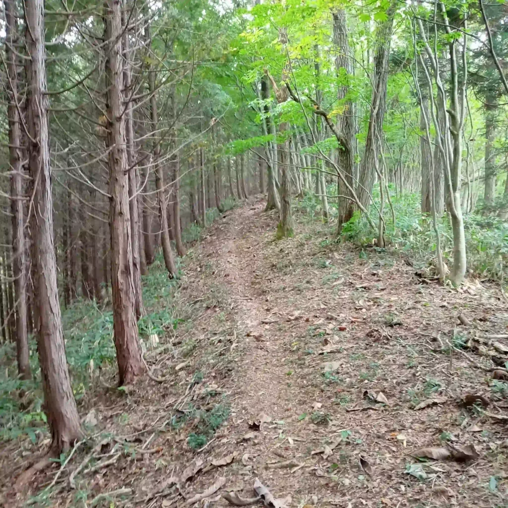 本丸跡、畝形阻塞（うねがたそさい）、雷神社方向