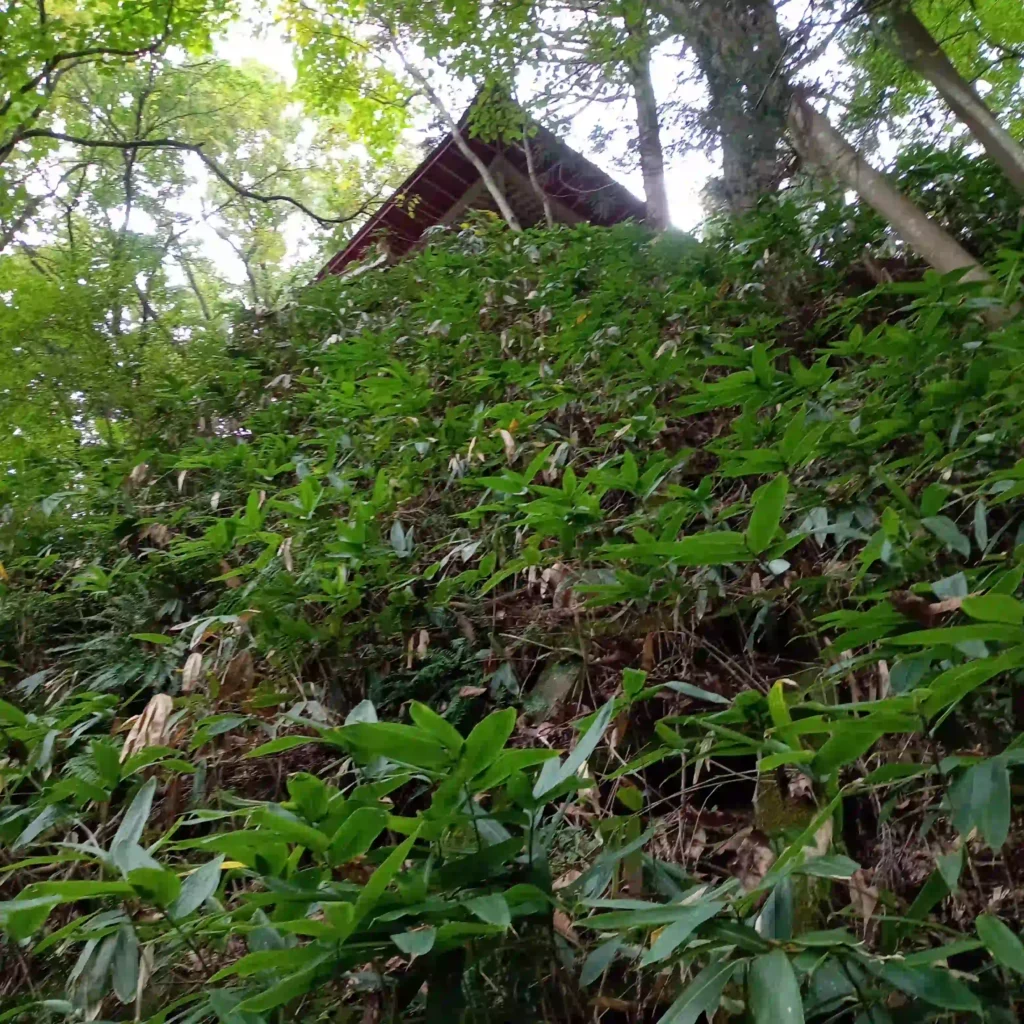 雷神社の裏手。