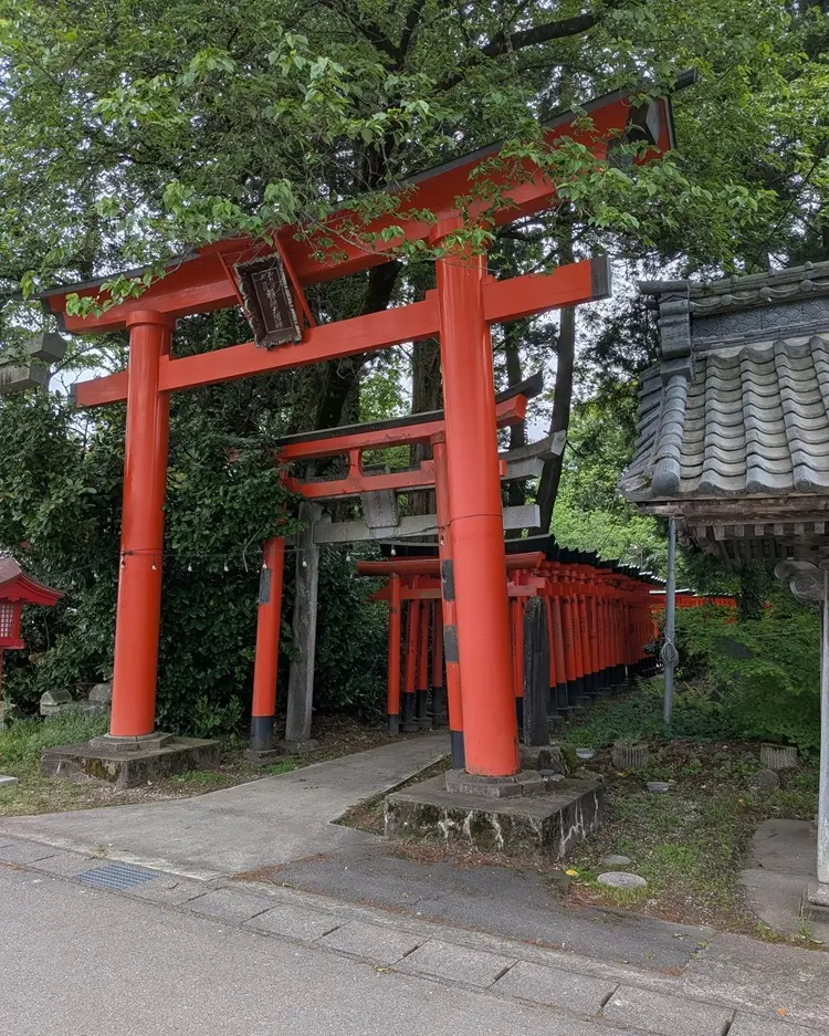 大友稲荷奥の院、参道入り口やや斜めから。鳥居が奥へ続く。