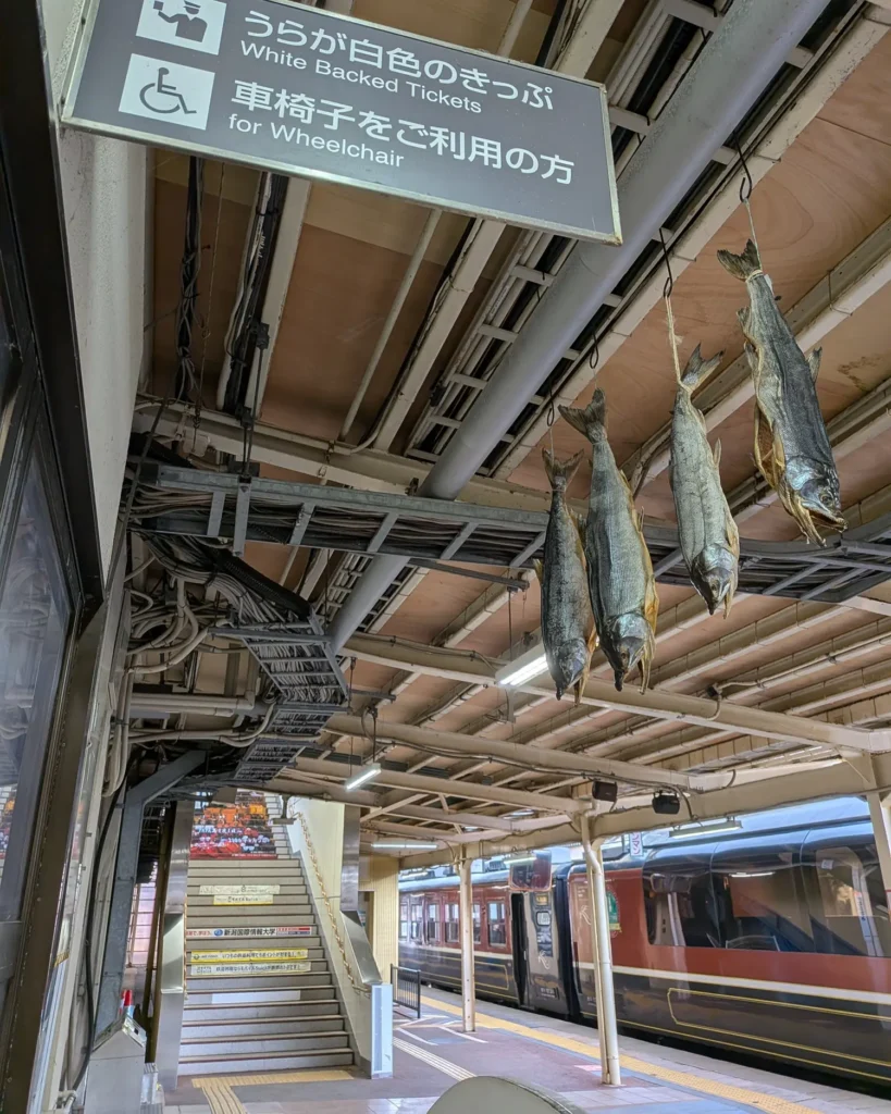 ホームに吊るされた塩引鮭。村上駅らしいお出迎え。