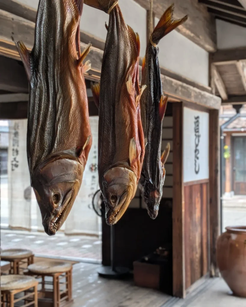 千年鮭きっかわの町屋に吊るされた複数の鮭